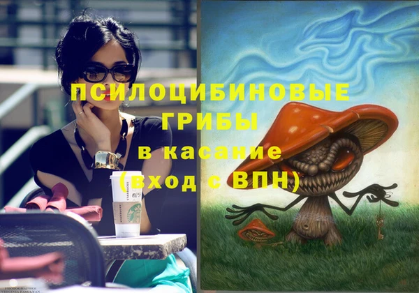 твердый Майский