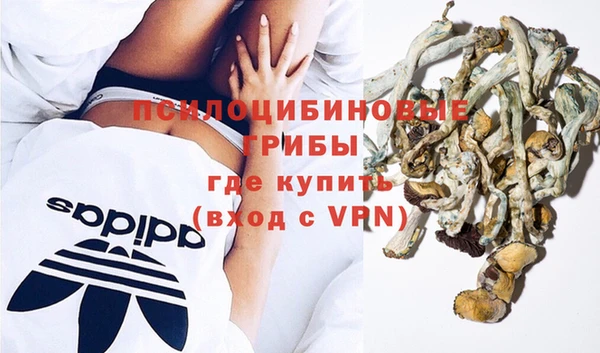 твердый Майский