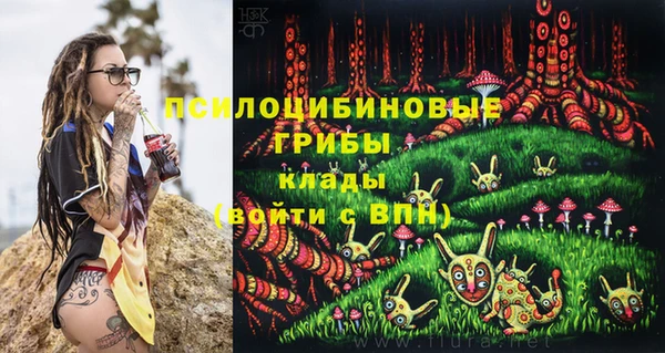 твердый Майский